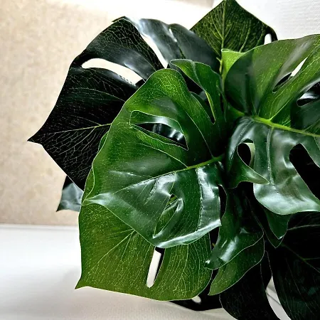 Apartament Pentagone 33 Stade De