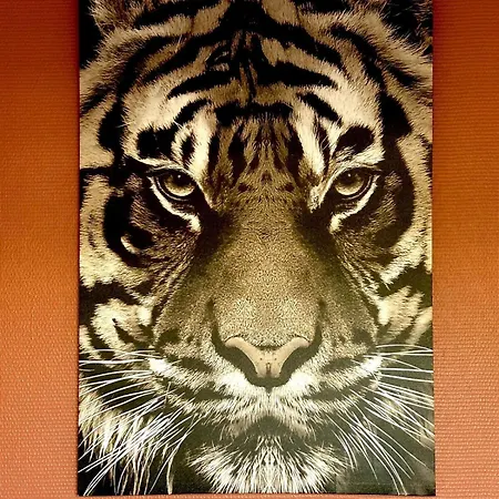 Pentagone 33 Stade De Apartament