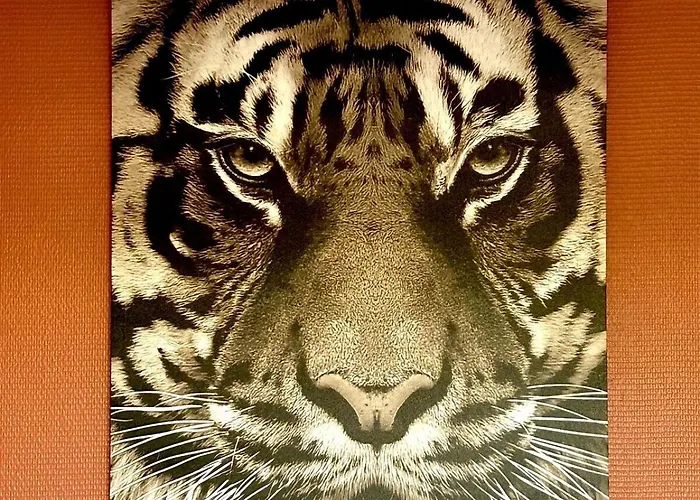 Pentagone 33 Stade De Apartament